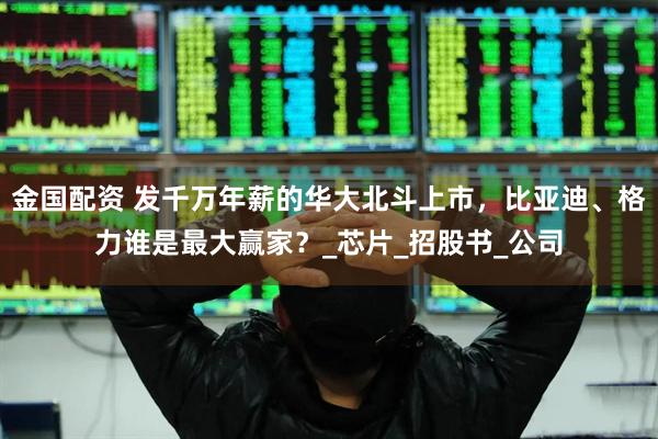 金国配资 发千万年薪的华大北斗上市，比亚迪、格力谁是最大赢家？_芯片_招股书_公司